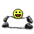 dawapanda dawapanda